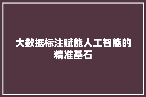 大数据标注赋能人工智能的精准基石