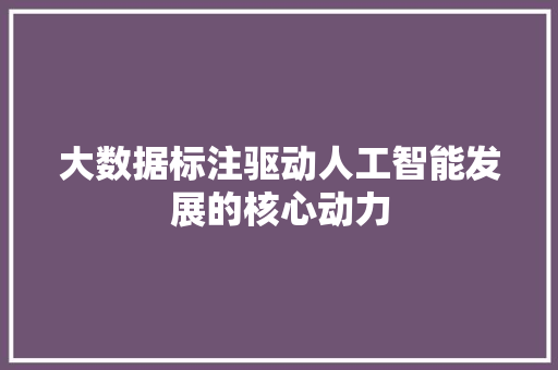 大数据标注驱动人工智能发展的核心动力