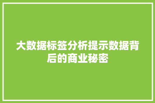 大数据标签分析提示数据背后的商业秘密