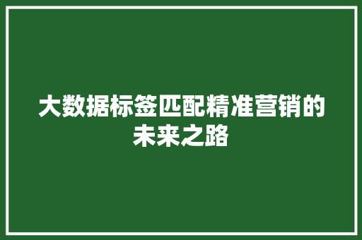 大数据标签匹配精准营销的未来之路