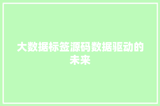 大数据标签源码数据驱动的未来