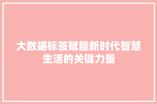 大数据标签赋能新时代智慧生活的关键力量