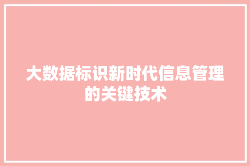 大数据标识新时代信息管理的关键技术