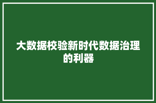 大数据校验新时代数据治理的利器 建站教程