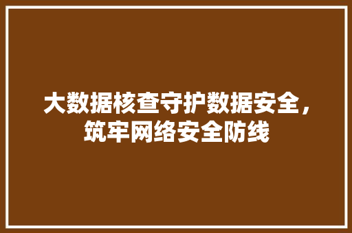 大数据核查守护数据安全，筑牢网络安全防线 WordPress教程