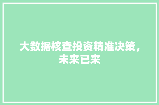 大数据核查投资精准决策，未来已来