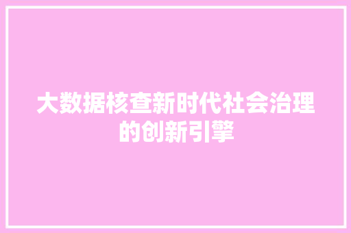 大数据核查新时代社会治理的创新引擎