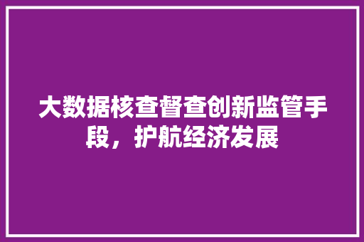 大数据核查督查创新监管手段，护航经济发展