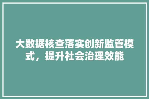 大数据核查落实创新监管模式，提升社会治理效能