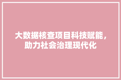大数据核查项目科技赋能，助力社会治理现代化