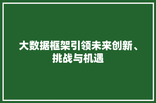 大数据框架引领未来创新、挑战与机遇