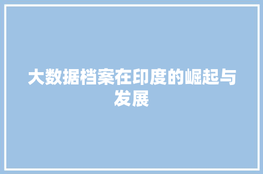 大数据档案在印度的崛起与发展