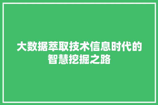 大数据萃取技术信息时代的智慧挖掘之路 友链在线