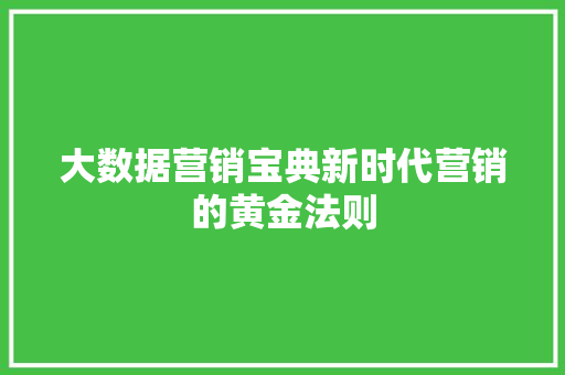 大数据营销宝典新时代营销的黄金法则