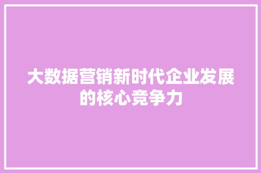 大数据营销新时代企业发展的核心竞争力