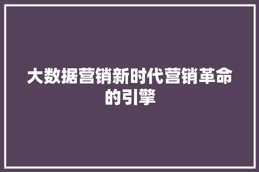 大数据营销新时代营销革命的引擎