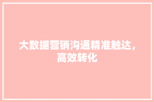 大数据营销沟通精准触达，高效转化