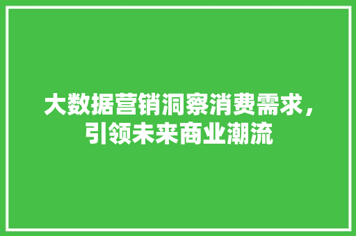 大数据营销洞察消费需求，引领未来商业潮流