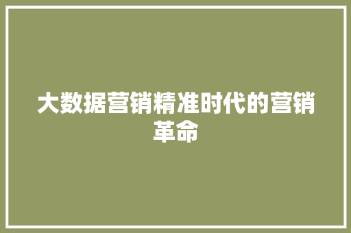 大数据营销精准时代的营销革命