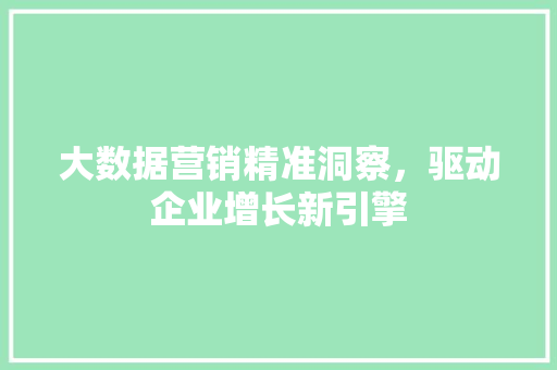 大数据营销精准洞察，驱动企业增长新引擎