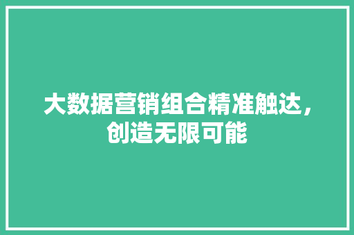 大数据营销组合精准触达，创造无限可能