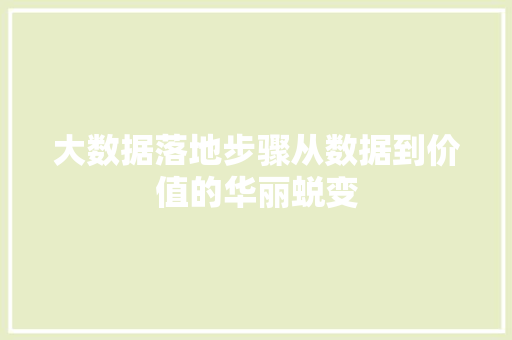 大数据落地步骤从数据到价值的华丽蜕变