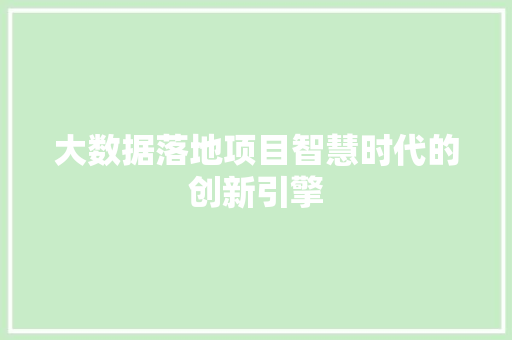 大数据落地项目智慧时代的创新引擎