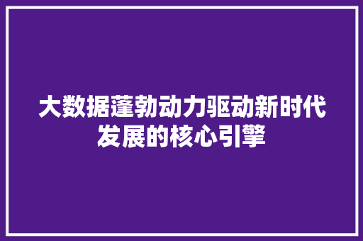 大数据蓬勃动力驱动新时代发展的核心引擎