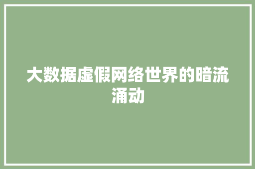 大数据虚假网络世界的暗流涌动