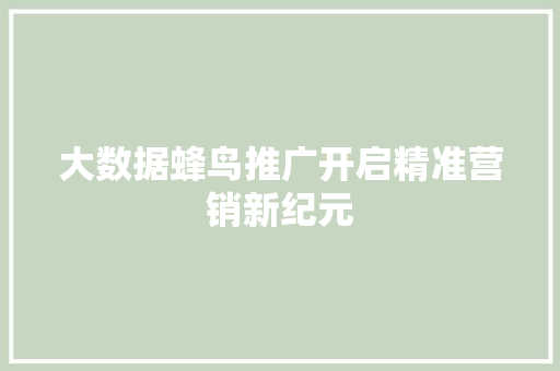大数据蜂鸟推广开启精准营销新纪元