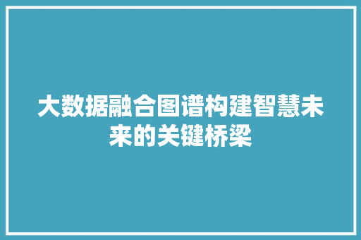 大数据融合图谱构建智慧未来的关键桥梁