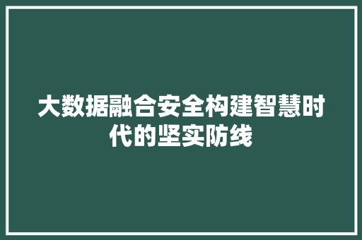大数据融合安全构建智慧时代的坚实防线