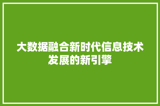 大数据融合新时代信息技术发展的新引擎