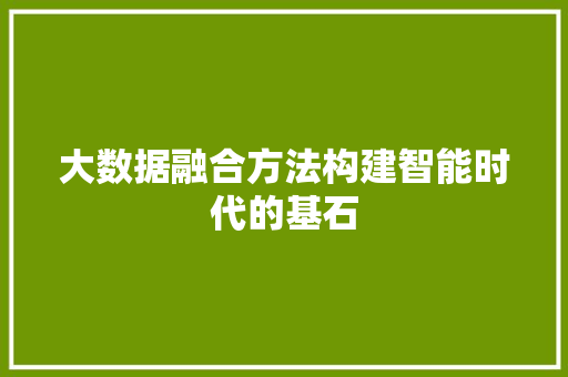 大数据融合方法构建智能时代的基石