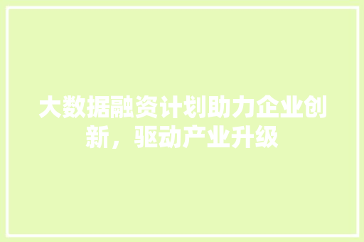 大数据融资计划助力企业创新，驱动产业升级