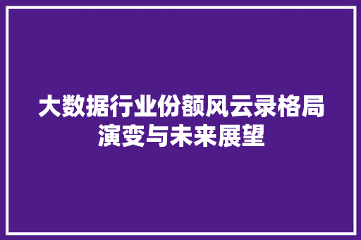 大数据行业份额风云录格局演变与未来展望