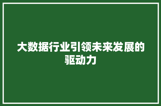 大数据行业引领未来发展的驱动力