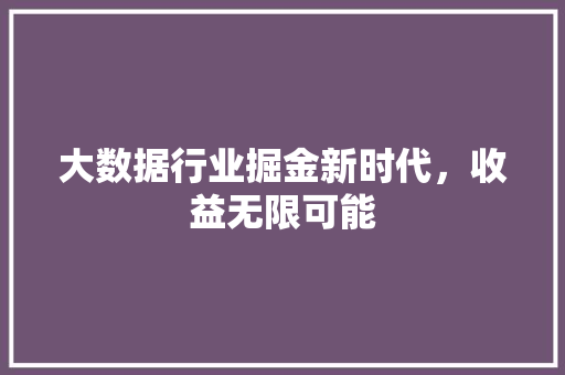 大数据行业掘金新时代，收益无限可能