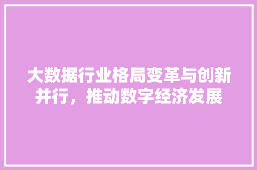 大数据行业格局变革与创新并行，推动数字经济发展