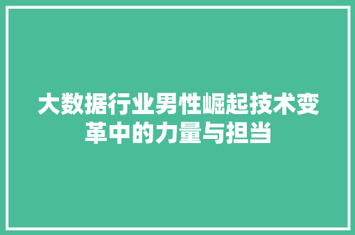 大数据行业男性崛起技术变革中的力量与担当