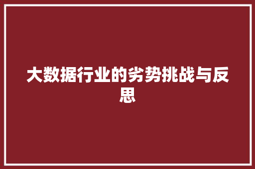 大数据行业的劣势挑战与反思