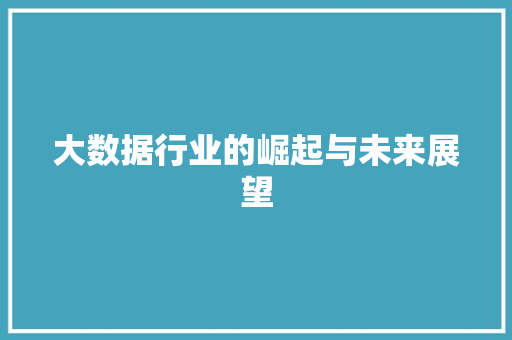 大数据行业的崛起与未来展望