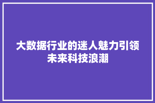 大数据行业的迷人魅力引领未来科技浪潮