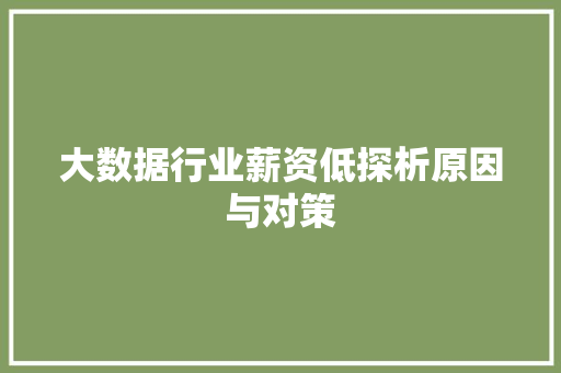大数据行业薪资低探析原因与对策