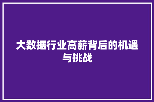 大数据行业高薪背后的机遇与挑战