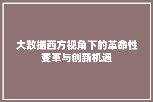 大数据西方视角下的革命性变革与创新机遇