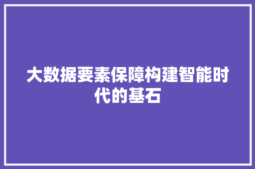 大数据要素保障构建智能时代的基石