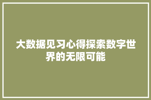大数据见习心得探索数字世界的无限可能