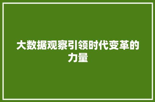 大数据观察引领时代变革的力量