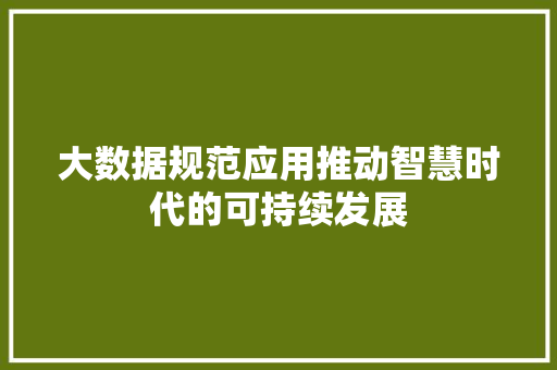大数据规范应用推动智慧时代的可持续发展